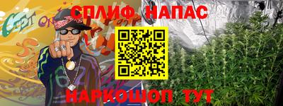 индика Ирбит