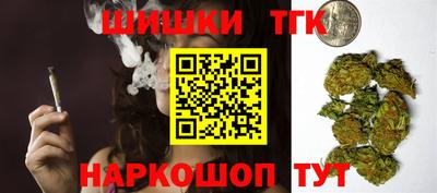 индика Ирбит