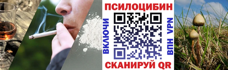 маркетплейс формула  мега как зайти  Оренбург  Галлюциногенные грибы GOLDEN TEACHER 