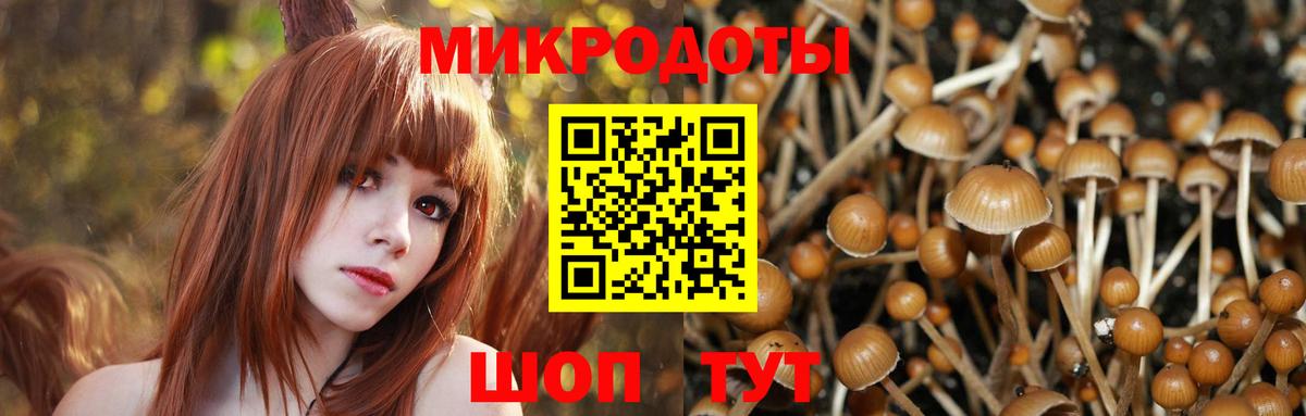 Галлюциногенные грибы GOLDEN TEACHER Оренбург